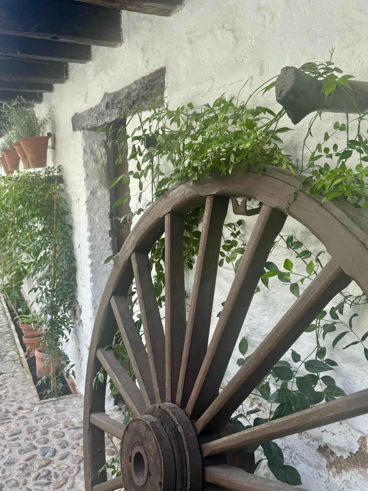 La Buganvilla De Santiago Κόρδοβα Εξωτερικό φωτογραφία