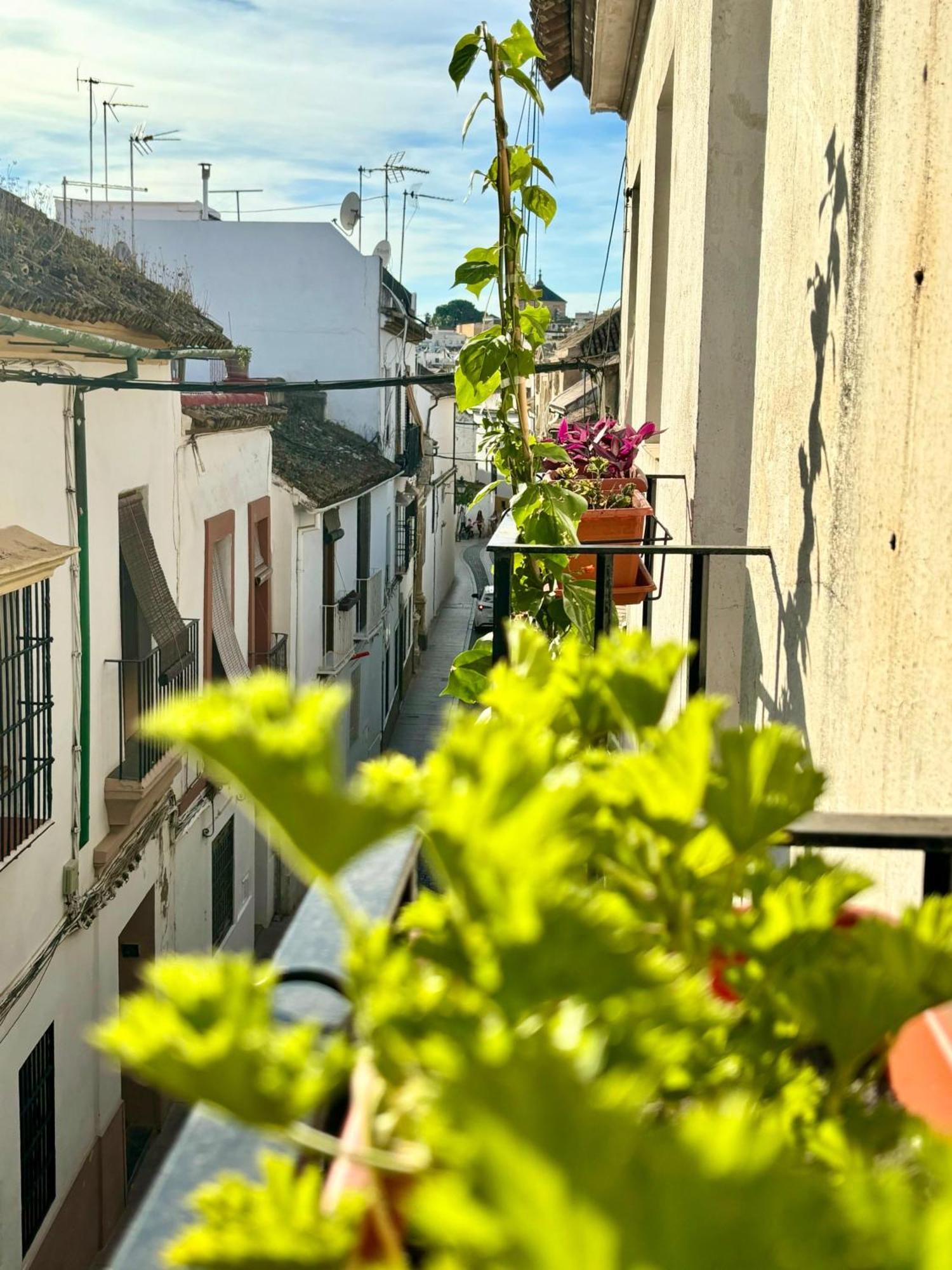La Buganvilla De Santiago Κόρδοβα Εξωτερικό φωτογραφία